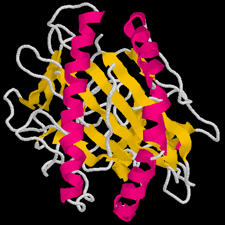 The MHC binding site.